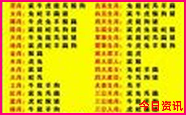 五天四晚适合去哪里玩