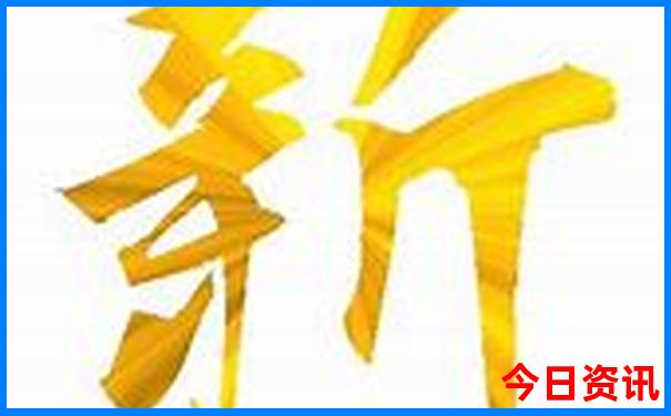 2025新澳历史开奖记录查询结果